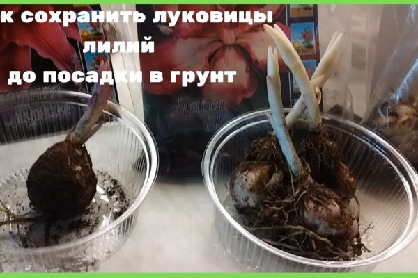 Кракен ссылка на сайт тор