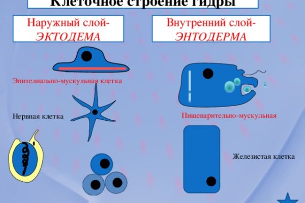 Кракен маркет что это такое