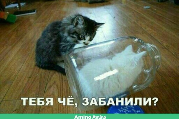 Что с кракеном сайт на сегодня