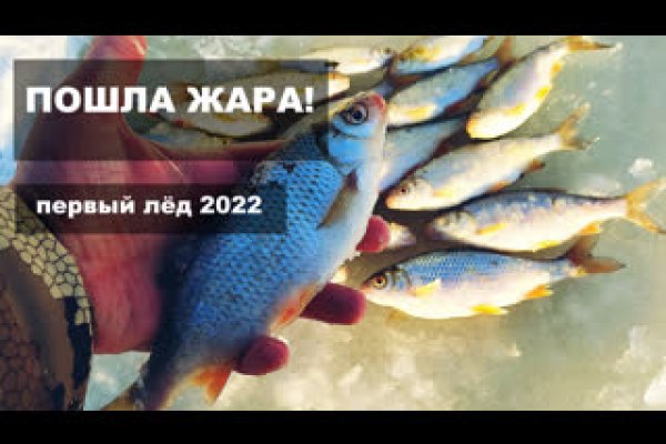 Kraken ссылка kraken torion