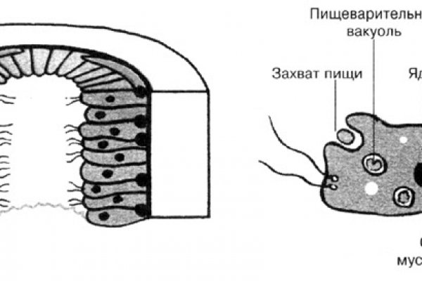 Кракен сайт вход официальный зеркало